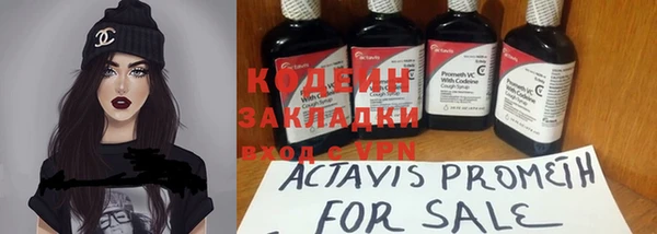 прущие крисы Верея