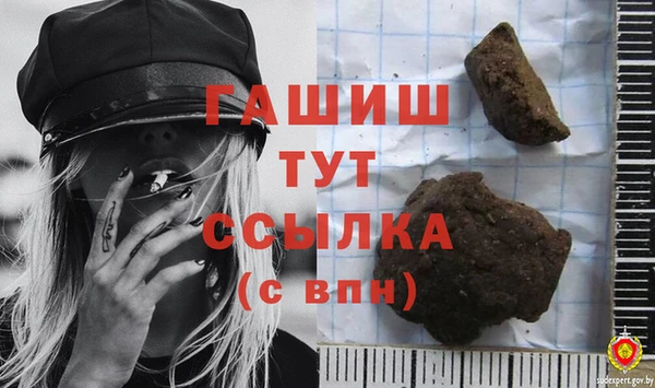 гидра Володарск