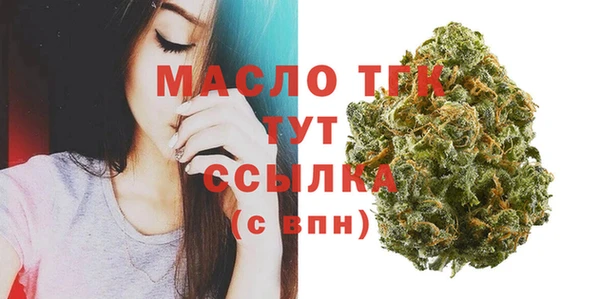 spice Сясьстрой