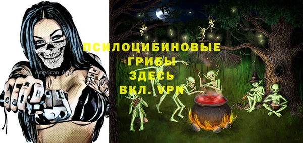 прущие грибы Тобольск