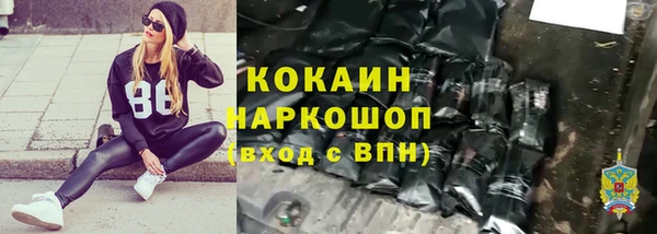 прущие грибы Тихорецк