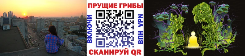 ссылка на мегу как войти  где продают наркотики  Луховицы  Галлюциногенные грибы мухоморы 